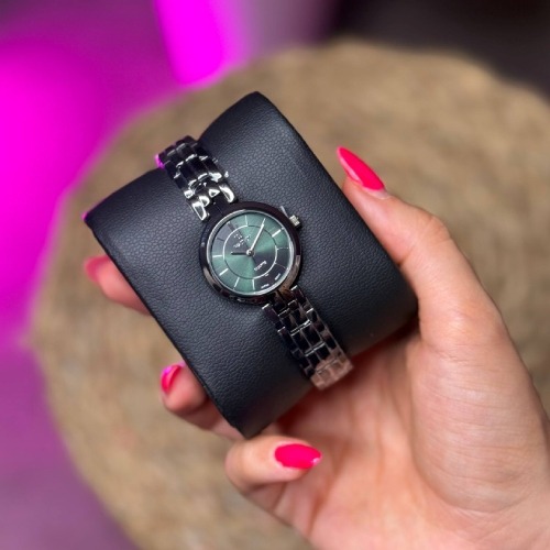 ساعت مچی برند WATSON مدل W 1283L