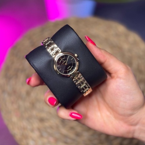 ساعت مچی برند WATSON مدل W 1283L